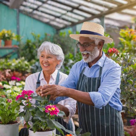 Gardening Joy: Simple Ideas for Seniors with Mobility Challenges